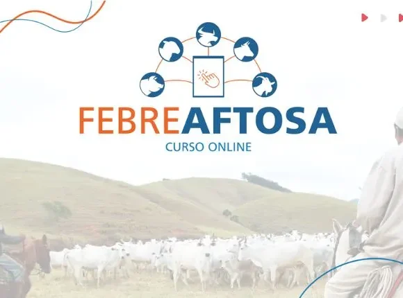 Estratégias e desafios para a manutenção do status sanitário da Febre Aftosa