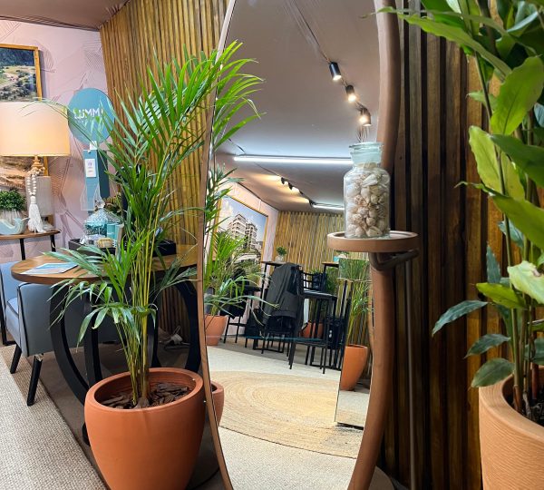 Round: The new outline of warmth in interior design 5 WhatsApp Image 2025 06 07 at 18.03.08