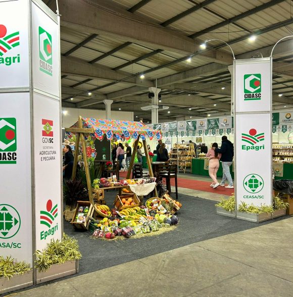 Cooperativa formada por mulheres celebra nono ano de participação na Feira AgroPonte
