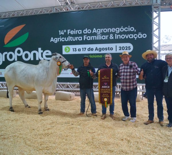FOTO 4foto viniciusalexandre Grande