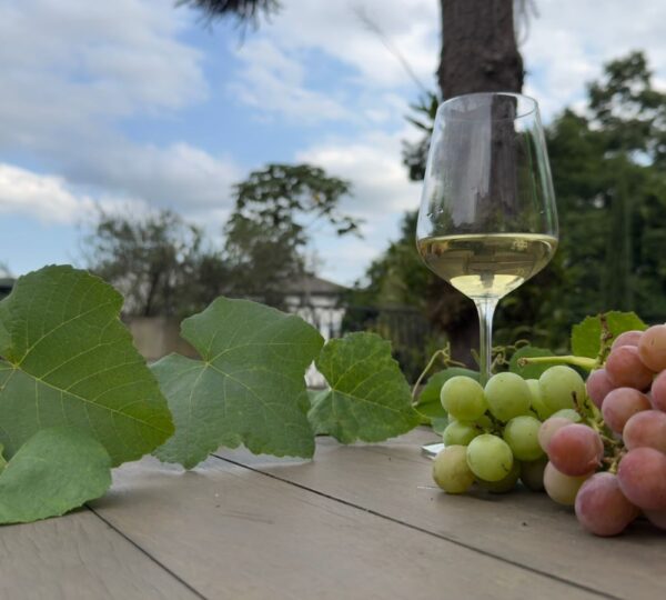 Feira AgroPonte reúne, pela primeira vez, dois produtos catarinenses com Denominação de Origem 2 VINHO GOETHE