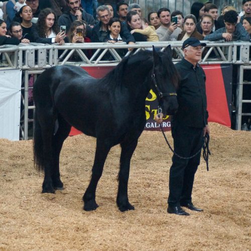 DSC00606