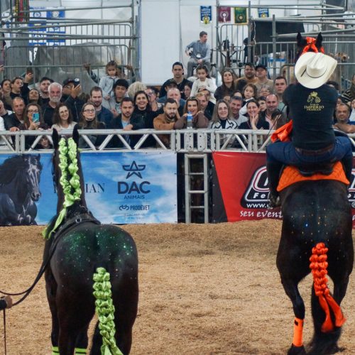 DSC00651