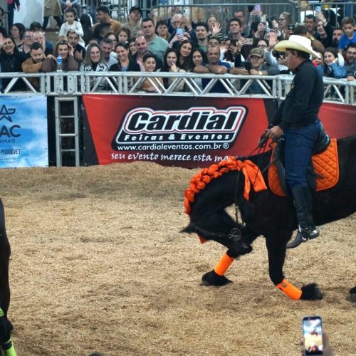 DSC00655 Grande