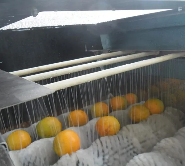 Tecnologia monitora transmissão do calor em frutas e ajuda a reduzir perdas na pós-colheita 2 250218 SensorTermicoFrutas4 DanielTerao