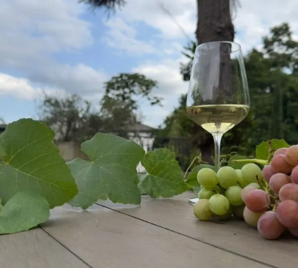 Feira AgroPonte reúne, pela primeira vez, dois produtos catarinenses com Denominação de Origem 2 VINHO GOETHE