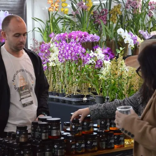DSC_0365